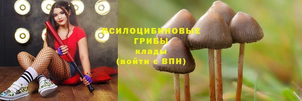 трава Алзамай