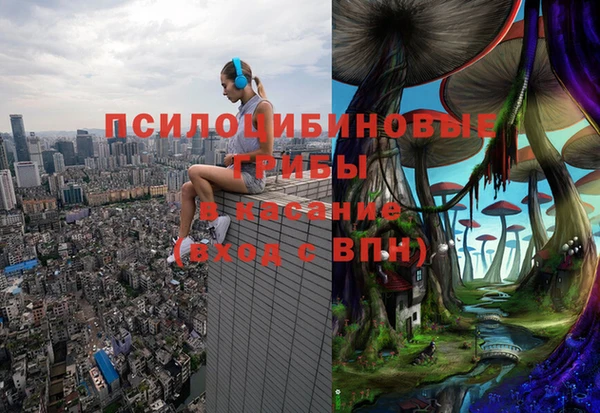 трава Алзамай