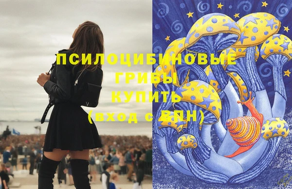 ECSTASY Абаза