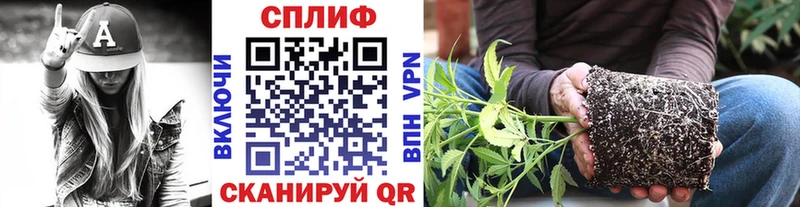 KRAKEN зеркало  закладки  Новоуральск  Конопля White Widow 